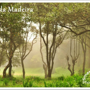 Ilha da Madeira