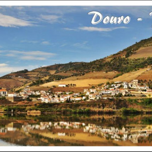 Covelinhas Douro