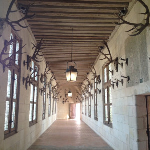 Corredor de Trofeus de Caça (Castelo de Chambord)