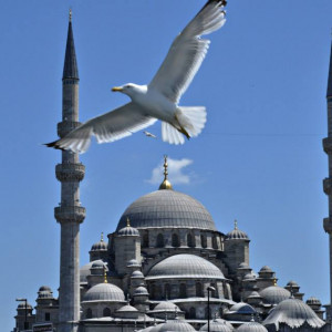 Istambul