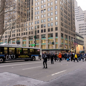 NY (9)