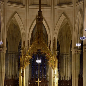 NY (13)