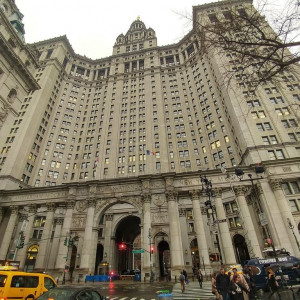 NY (50)