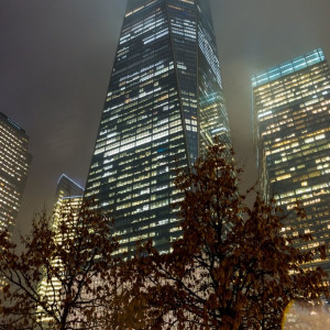 NY (67)