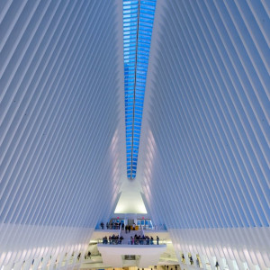 NY (71)