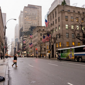 NY (88)