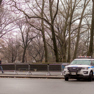 NY (107)