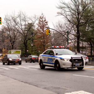 NY (109)