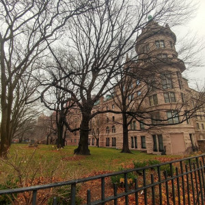 NY (111)