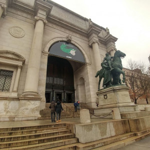 NY (113)