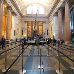 NY (114)
