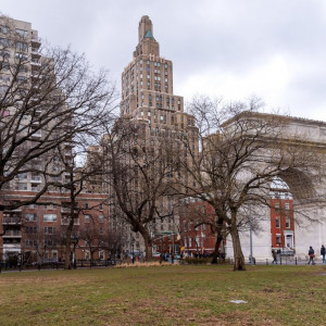 NY (145)
