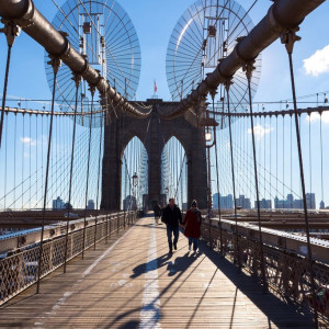 NY (161)