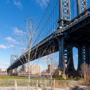 NY (169)