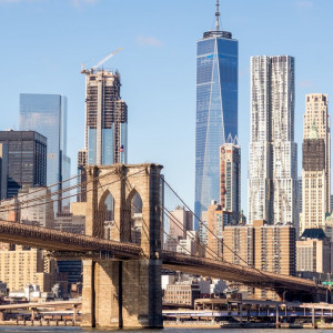 NY (171)