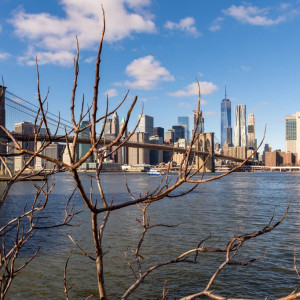 NY (173)