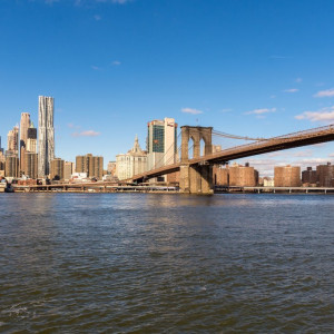 NY (176)
