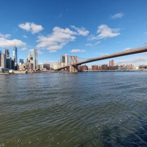 NY (179)