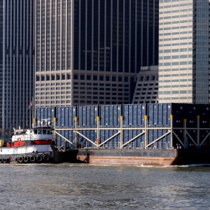 NY (181)