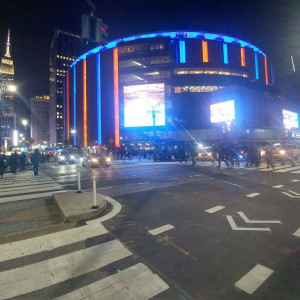 NY (230)