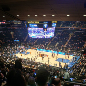 NY (231)