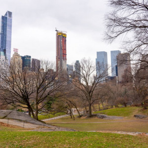 NY (204)
