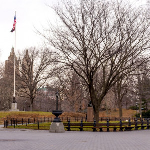 NY (206)