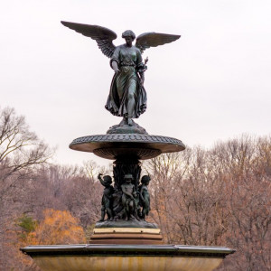 NY (208)