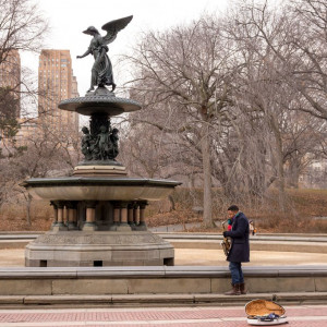 NY (209)