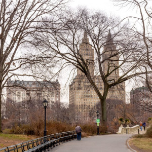 NY (210)