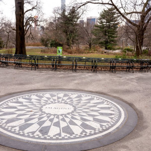 NY (220)