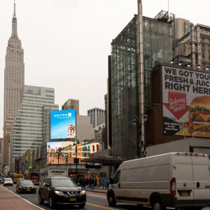 NY (237)