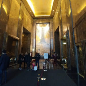 NY (239)