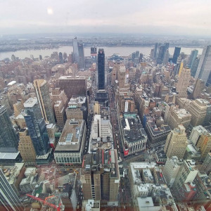 NY (240)