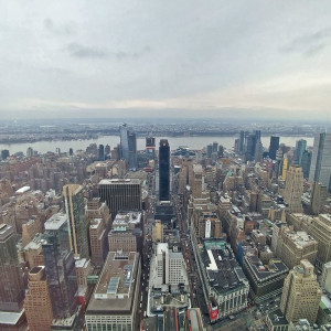 NY (241)