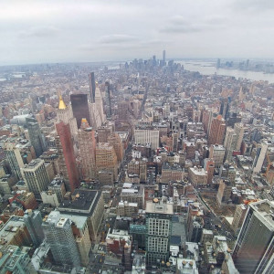 NY (242)