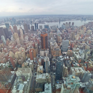 NY (243)