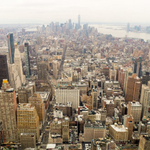NY (244)