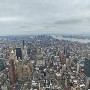 NY (245)