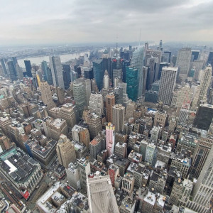 NY (246)