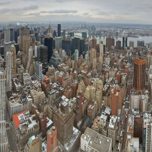 NY (248)