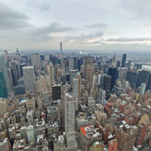 NY (249)