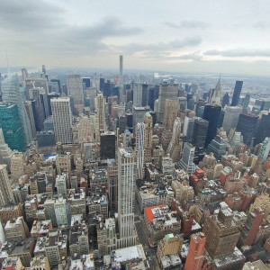 NY (251)