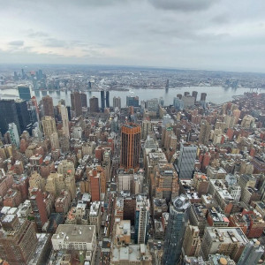 NY (253)