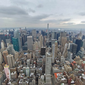 NY (255)
