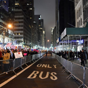 NY (234)