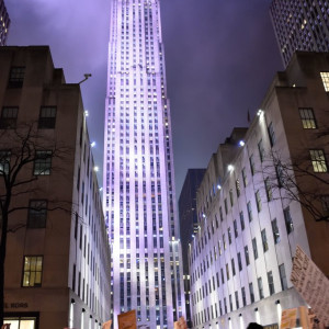 NY (235)