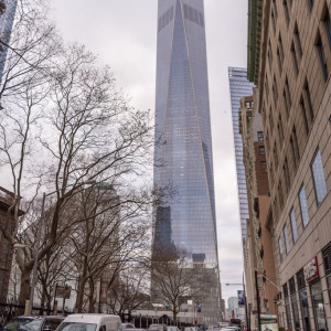 NY (257)