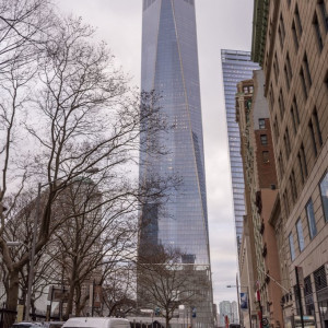 NY (258)