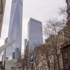 NY (259)